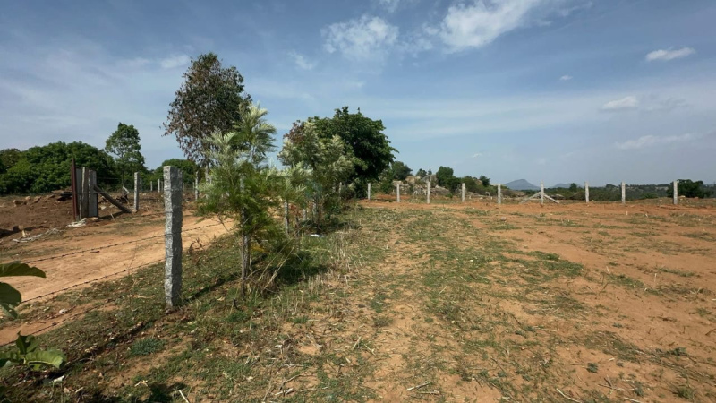  Agricultural Land 5 Acre for Sale in Doddaballapur, Bangalore