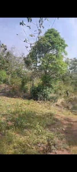  Agricultural Land 5 Acre for Sale in Ramanagara, Bangalore