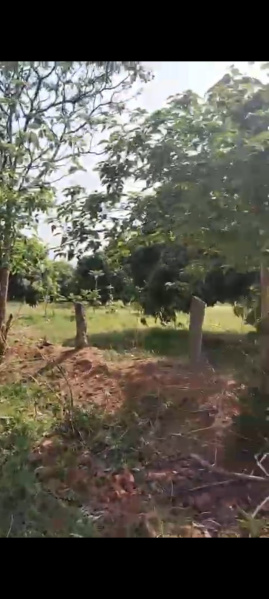  Agricultural Land 5 Acre for Sale in Ramanagara, Bangalore