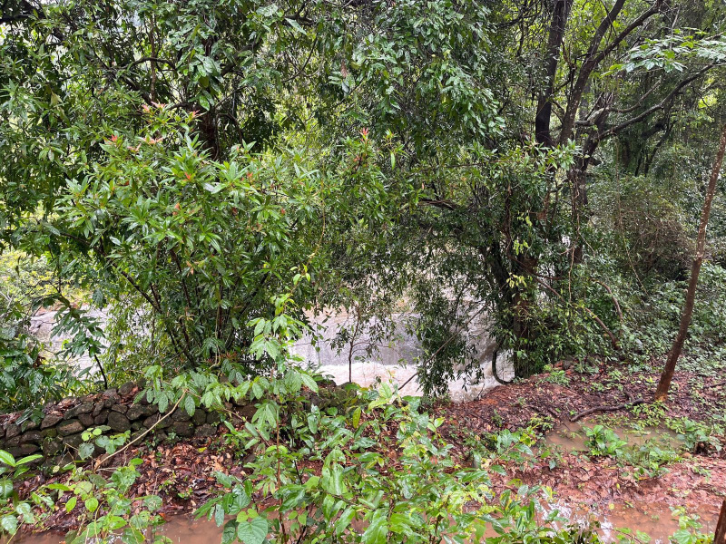  Agricultural Land 10 Acre for Sale in Belthangady, Mangalore