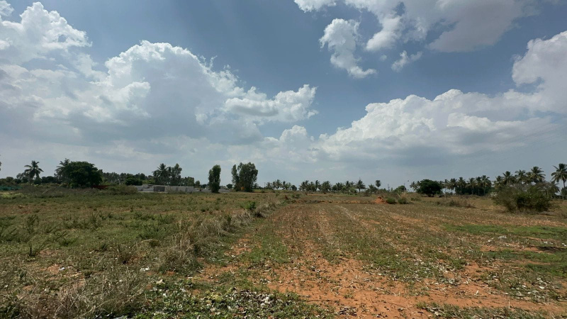  Agricultural Land 2 Acre for Sale in Doddaballapur, Bangalore