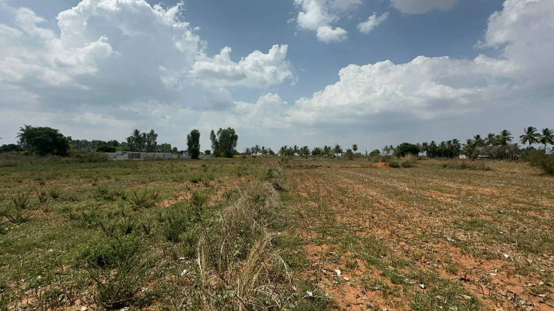  Agricultural Land 2 Acre for Sale in Doddaballapur, Bangalore
