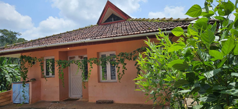  Agricultural Land 28 Acre for Sale in Jayanagar, Chikmagalur