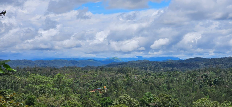  Agricultural Land 28 Acre for Sale in Jayanagar, Chikmagalur