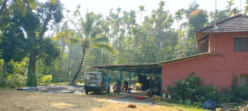  Agricultural Land 18 Acre for Sale in Sringeri, Chikmagalur