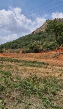  Agricultural Land for Sale in Doddaballapur, Bangalore