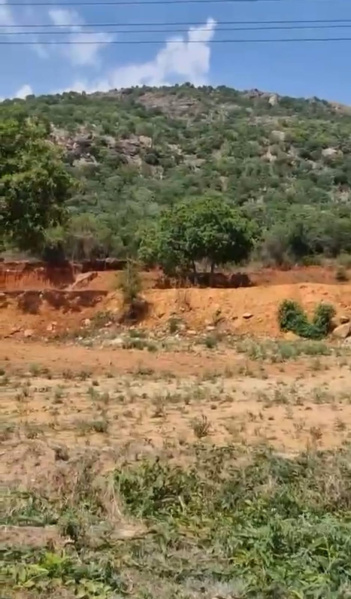  Agricultural Land 1 Acre for Sale in Doddaballapur, Bangalore