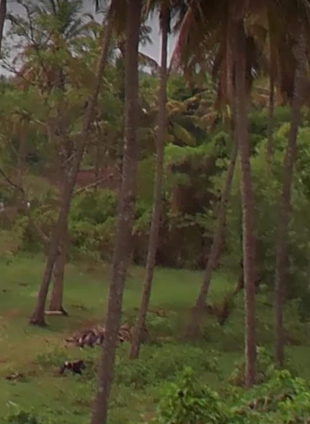  Agricultural Land 32 Guntha for Sale in Nanjangud, Mysore