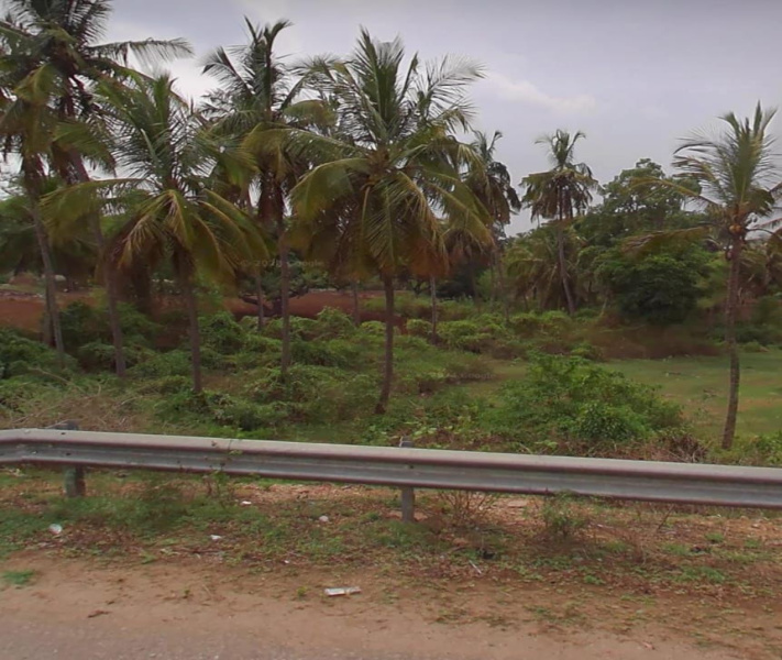  Agricultural Land 32 Guntha for Sale in Nanjangud, Mysore
