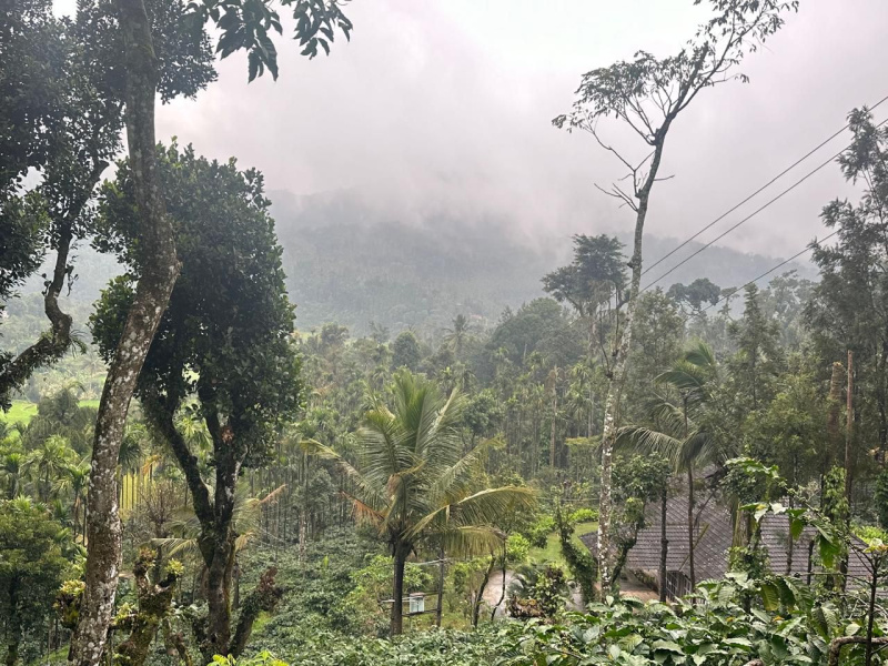  Agricultural Land 16 Acre for Sale in Koduvalli, Chikmagalur