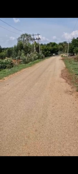  Agricultural Land 2 Acre for Sale in Doddaballapur, Bangalore