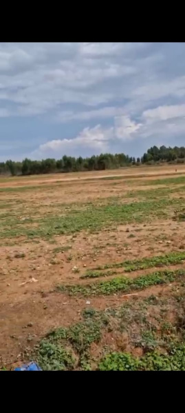  Agricultural Land 2 Acre for Sale in Doddaballapur, Bangalore