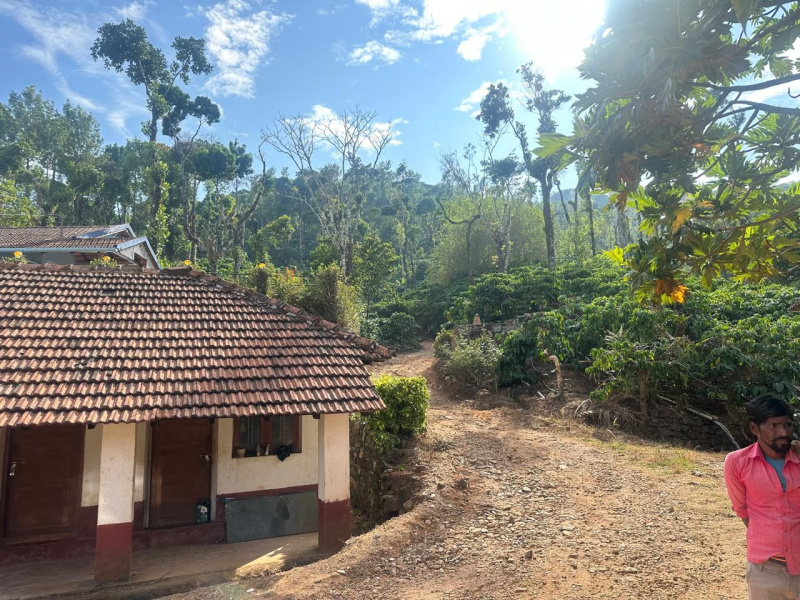  Agricultural Land 60 Acre for Sale in Mudigere, Chikmagalur