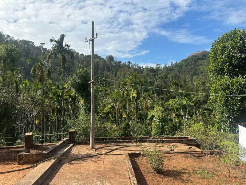  Agricultural Land 60 Acre for Sale in Mudigere, Chikmagalur