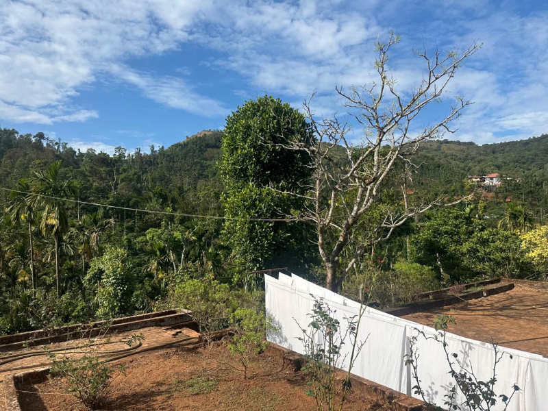  Agricultural Land 60 Acre for Sale in Mudigere, Chikmagalur