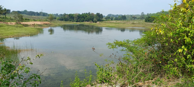  Agricultural Land 18 Acre for Sale in Holenarsipur, Hassan