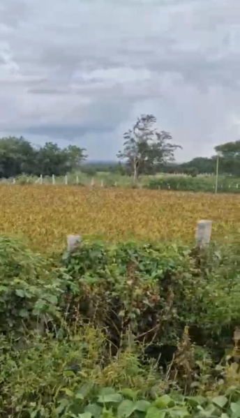  Agricultural Land 5 Acre for Sale in Ramanagara, Bangalore