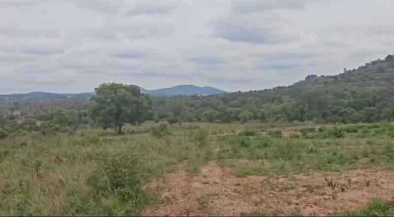  Agricultural Land 2 Acre for Sale in Doddaballapur, Bangalore