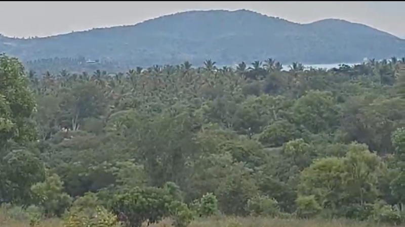  Agricultural Land 2 Acre for Sale in Doddaballapur, Bangalore