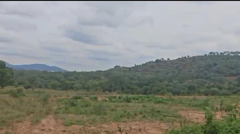  Agricultural Land 2 Acre for Sale in Doddaballapur, Bangalore