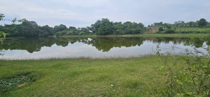  Agricultural Land 12 Acre for Sale in Sakleshpur, Hassan
