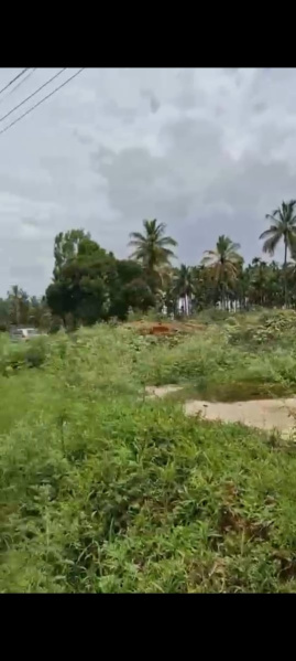  Agricultural Land 1 Acre for Sale in Nelamangala, Bangalore