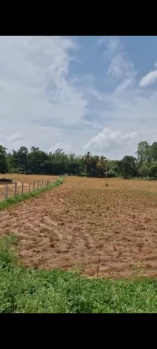  Agricultural Land for Sale in Doddaballapur, Bangalore