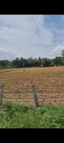  Agricultural Land 1 Acre for Sale in Doddaballapur, Bangalore