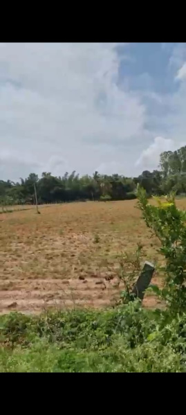  Agricultural Land 1 Acre for Sale in Doddaballapur, Bangalore
