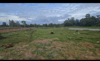  Agricultural Land for Sale in Hebbalu, Hassan