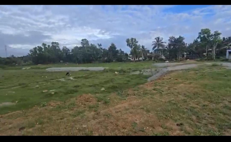  Agricultural Land 3 Acre for Sale in Hebbalu, Hassan