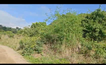  Agricultural Land for Sale in Ramanagara, Bangalore