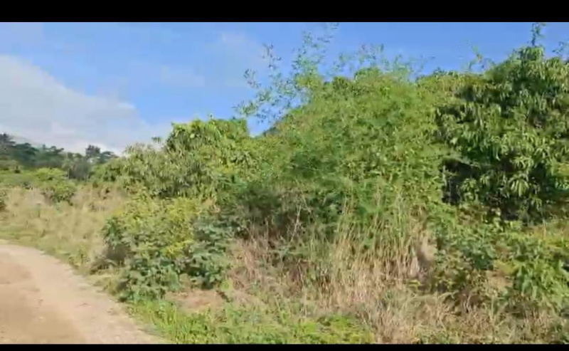  Agricultural Land 4 Acre for Sale in Ramanagara, Bangalore