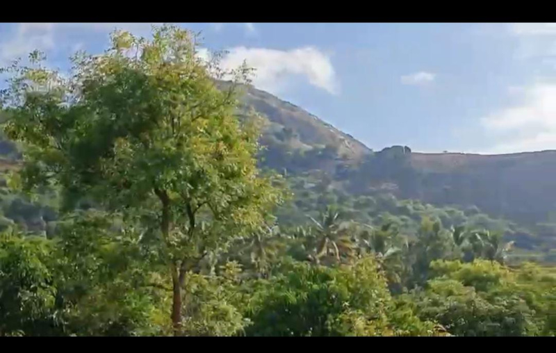  Agricultural Land 4 Acre for Sale in Ramanagara, Bangalore