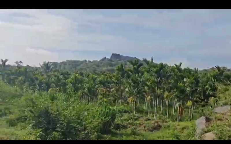  Agricultural Land 4 Acre for Sale in Ramanagara, Bangalore