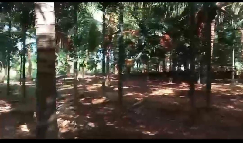  Agricultural Land 15 Acre for Sale in Yelandur, Chamrajnagar