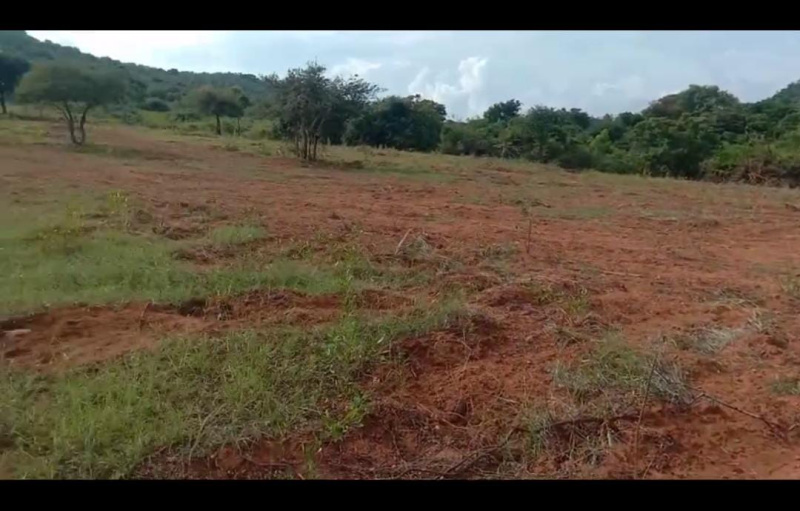  Agricultural Land 1 Acre for Sale in Kollegal, Chamrajnagar