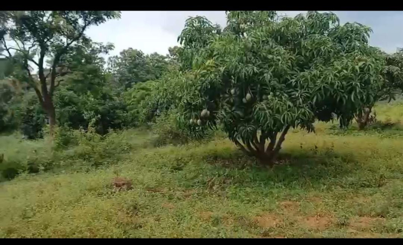  Agricultural Land 18 Acre for Sale in Kanakapura, Bangalore