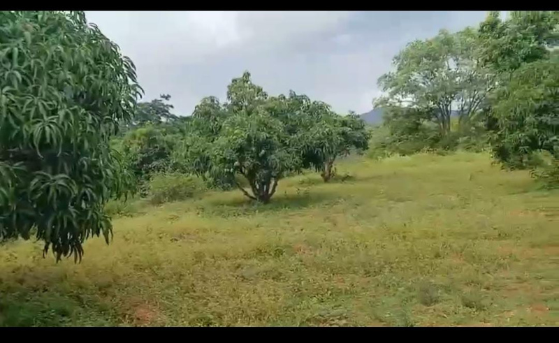  Agricultural Land 18 Acre for Sale in Kanakapura, Bangalore