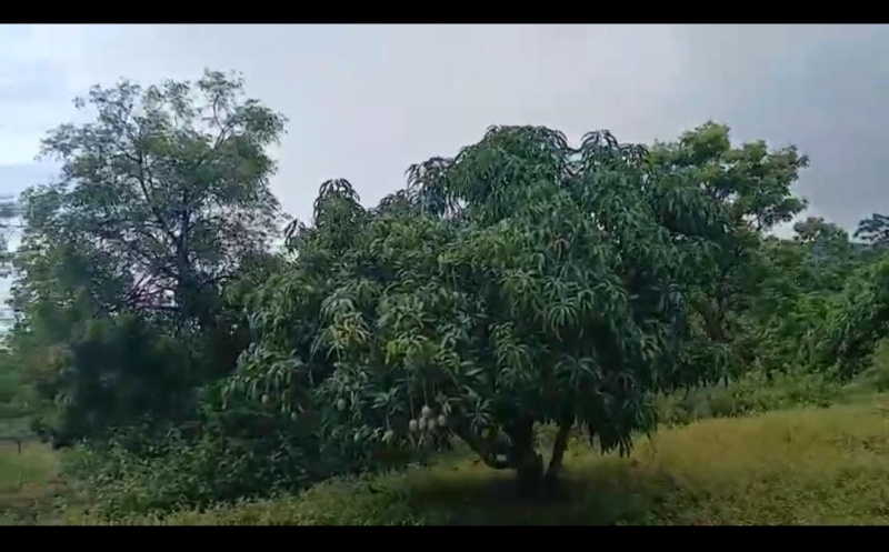 Agricultural Land 18 Acre for Sale in Kanakapura, Bangalore