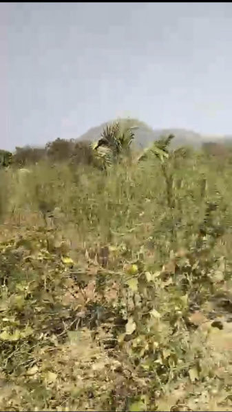  Agricultural Land 3 Acre for Sale in Ramanagara, Bangalore