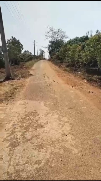  Agricultural Land 3 Acre for Sale in Ramanagara, Bangalore