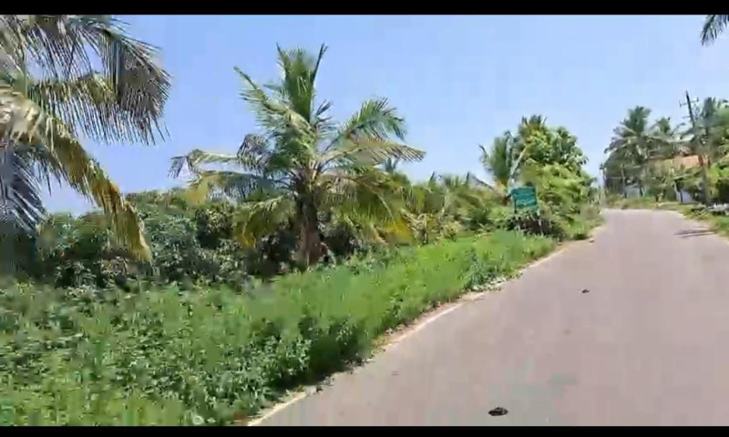  Agricultural Land 3 Acre for Sale in Kanakapura, Bangalore