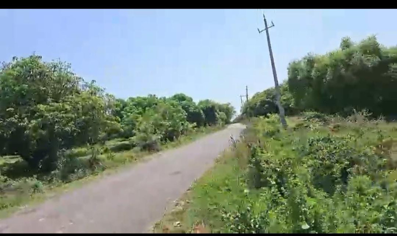  Agricultural Land 3 Acre for Sale in Kanakapura, Bangalore