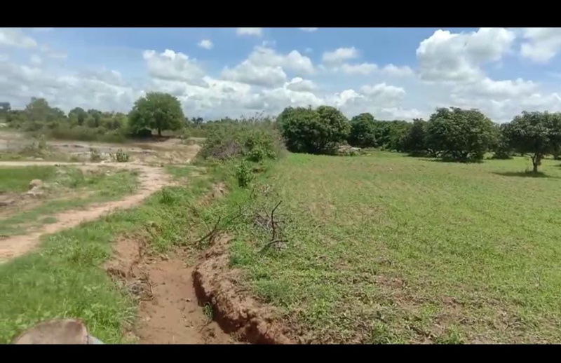  Agricultural Land 1 Acre for Sale in Maddur, Mandya