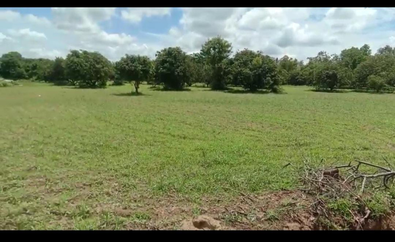  Agricultural Land 1 Acre for Sale in Maddur, Mandya