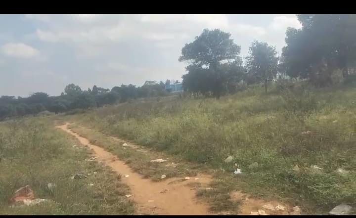  Agricultural Land 10 Acre for Sale in Heggere, Tumkur