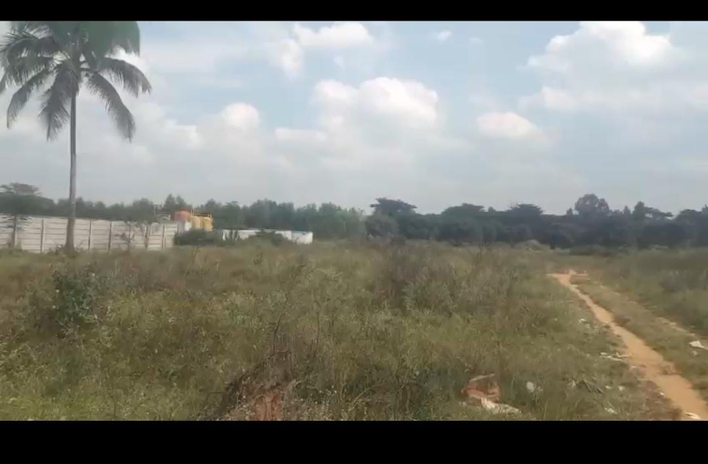  Agricultural Land 10 Acre for Sale in Heggere, Tumkur