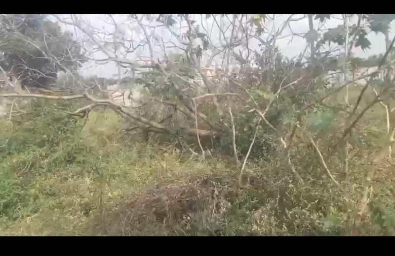 Agricultural Land 10 Acre for Sale in Heggere, Tumkur