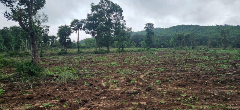  Agricultural Land 12 Acre for Sale in Belur Hassan